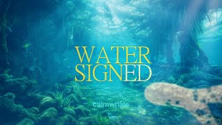 Shaman Drum Water Medicine ♒  Root Chakra Meditation :: WaterSigned :: by Calm Whale 31,027 views 9 months ago 2 hours, 16 minutes