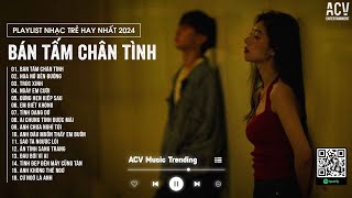 Bán Tấm Chân Tình, Hoa Nở Bên Đường, Trúc Xinh - Nhạc Trẻ Hay Nhất 2024 | Nhạc Trẻ Tuyển Chọn