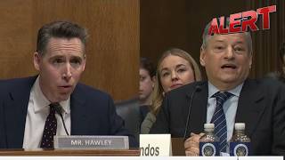 Hawley Grills Netflix CEO for Promoting Woke Gender Ideology, Secures Commitment to Protect US Jobs Profile