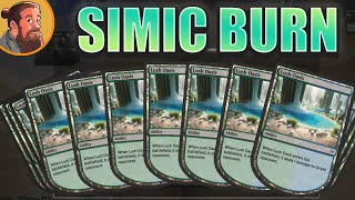 Burn, But Simic 30 Budget Magic Standard
