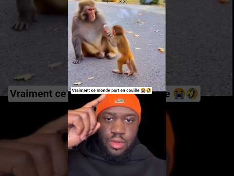 Moi Qui Croyais Avoir Tout Vu 