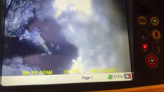 IMG 5225