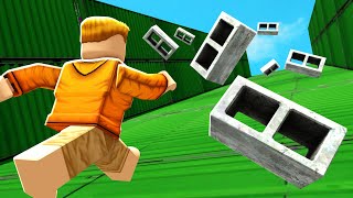 ROBLOX DODGE BRICKS and THINGS..