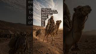 Old Testament Series 82:(Blood)🕊️Leviticus 17:14 Scripture⬇️ #fyp #post #bible #jewish #scripture e