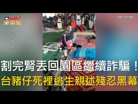 CTWANT 社會新聞 / 割完腎丟回園區繼續詐騙！　台豬仔死裡逃生親述殘忍黑幕
