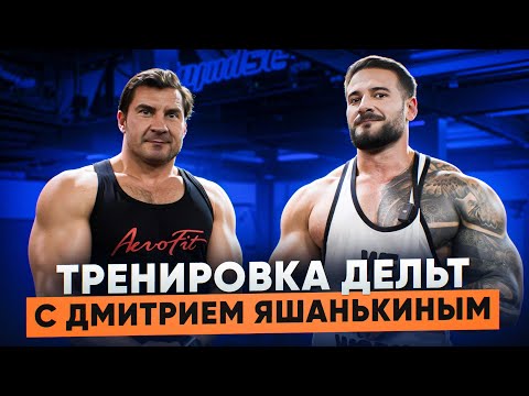 Deltoid Workout | Dmitry Yashankin