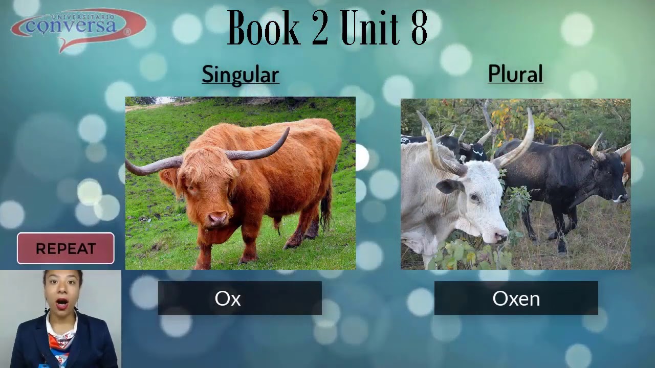 Book 2 unit 8 part 2 - YouTube