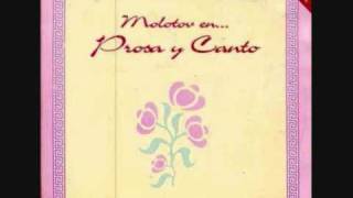 Video thumbnail of "Molotov - Chinga Tu Madre"