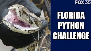 Hunters can kill these invasive snakes in Florida