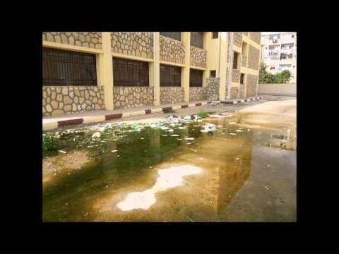 مدرسة الشيخ زايد بالاسماعيلية مهددة بالانهيار بسبب الاهمال