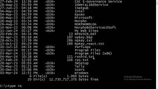 Exploring MS-DOS Commands: Date, Time, CLS, and Ping!