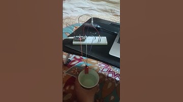 Rust and Esp32 water detection system #rust #esp32 #esp32project #iot #embedded #rustlang #arduino