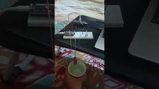 Rust and Esp32 water detection system #rust #esp32 #esp32project #iot #embedded #rustlang #arduino