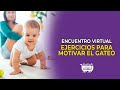 EJERCICIOS PARA MOTIVAR EL GATEO