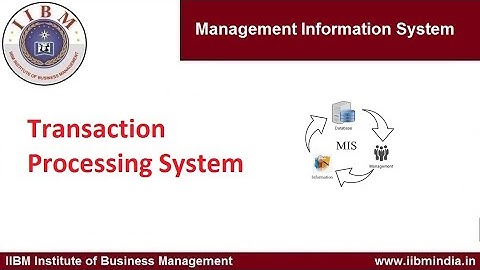 IIBM Institute | Transaction Processing System
