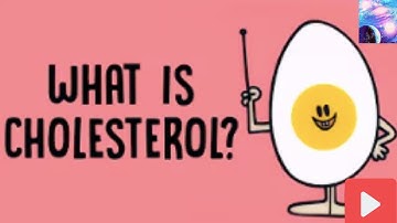 What actually causes high cholesterol? - Hei Man Chan
