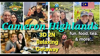 Experience a Leisurely Getaway to Cameron Highlands | Travels and Road Trips
