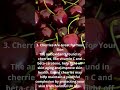 🍒 The Secret Behind Cherries!