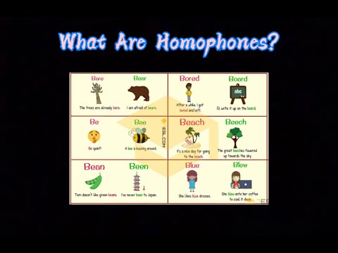 What Are Homophones + Using Homophones in Sentences | Math 'N Grammar Rush