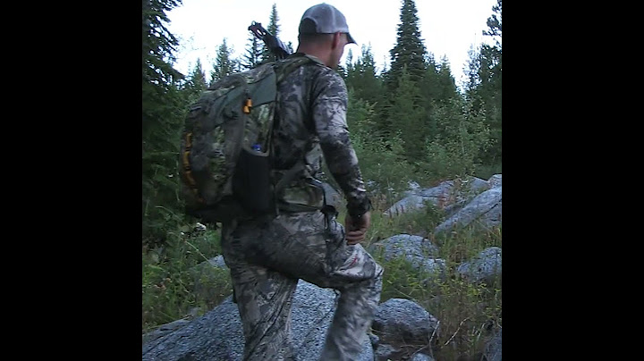 Shooting a Big Bull Elk in the Rocks! #hunting #elkhunting #bowhunting #shorts
