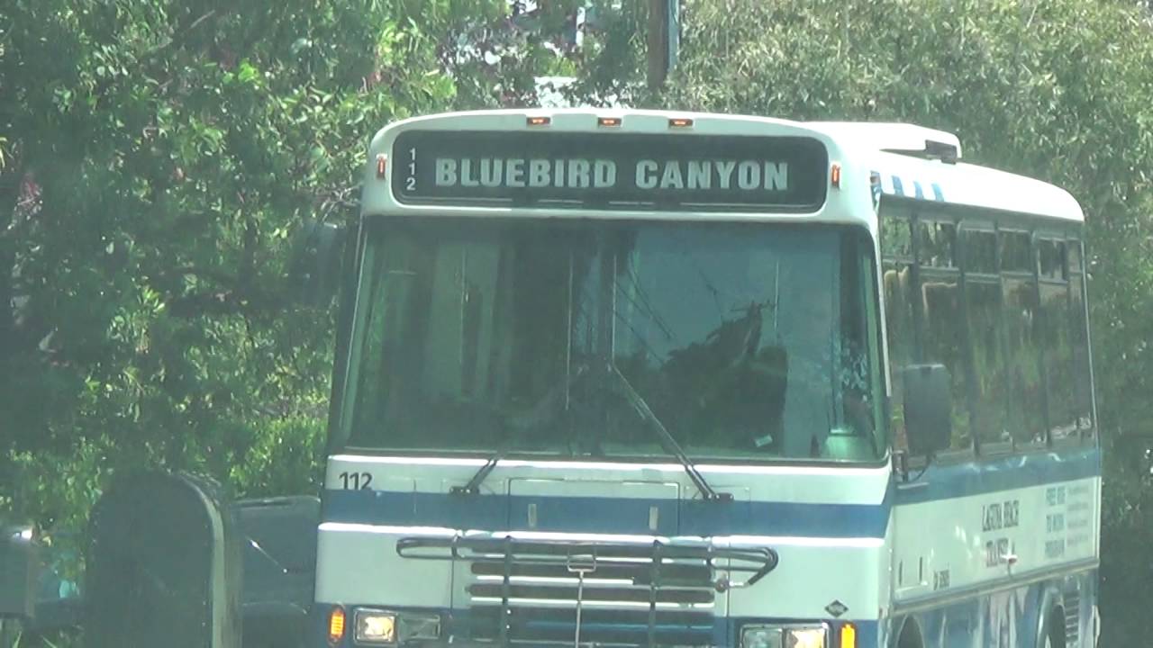 the sherm headed up bluebird canyon in laguna beach