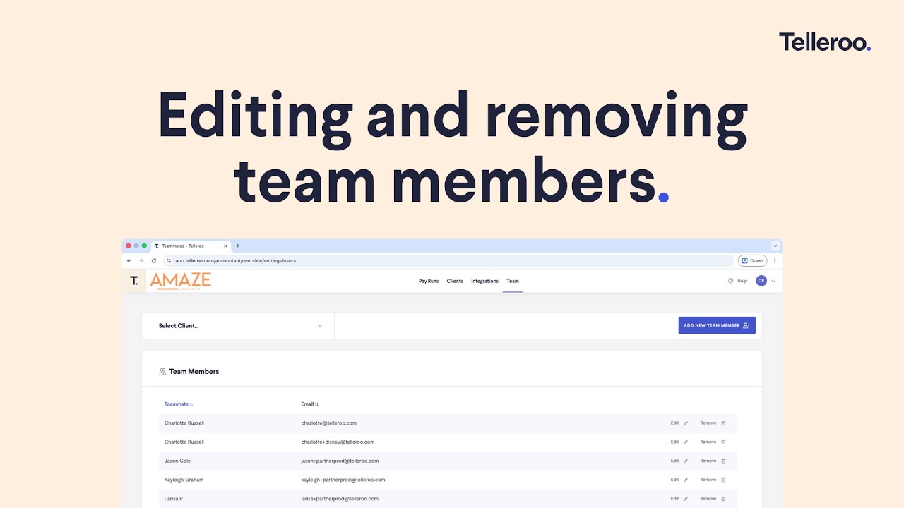 Editing and removing team members as an accountant or bookkeeper - YouTube