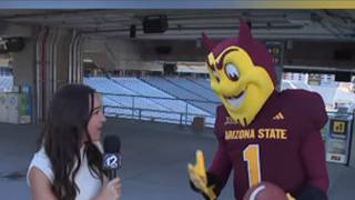 Push-Up Challenge Tori King vs Sparky