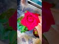 let's go to explore the beauty of flowers ....  #natureshorts #shortsfeed #shortvideo #youtube