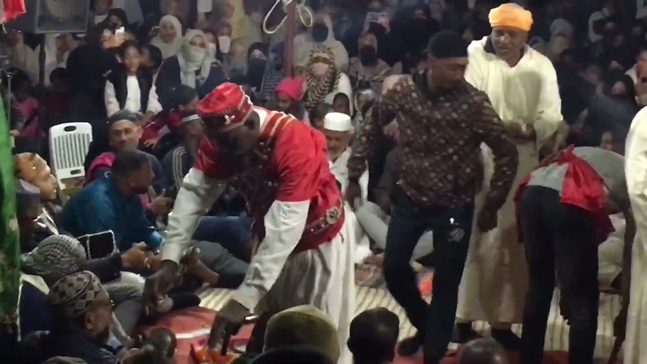 Mhalet Sodani Algérie borj (jangari Mama) maarouf Ain Sefra 2025