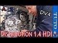 Remplacer la   Distribution 1.4 hdi DV4 TD (8HZ,8HY) Peugeot - Citroën - DS - Ford- Suzuki - Mini