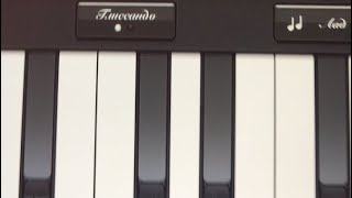 Mediocre person playing piano