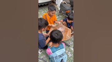 Nuôi cá betta mới 1 ngày mà đã yếu đi , lý do thật bất ngờ …!!!#bettasales #ngocdiemaquarium #baoiba