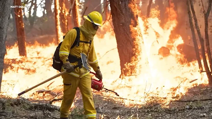 Research shows effectiveness of prescribed burns in reducing wildfire damage, toxic smoke