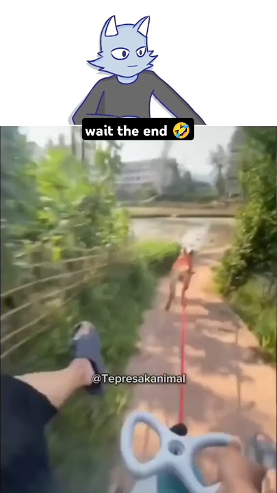 woi asu 🤣🙏 react video tepresakanimal #memes #phonkagressive #funny #dog #dubvoice