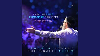 Video thumbnail of "Avraham Fried - שלח לי כח"