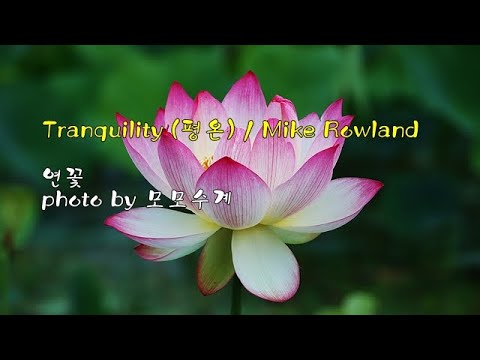 연꽃 &amp;amp; Tranquility (<strong>평온</strong>) / Mike Rowland &amp;amp; photo by 모모수계