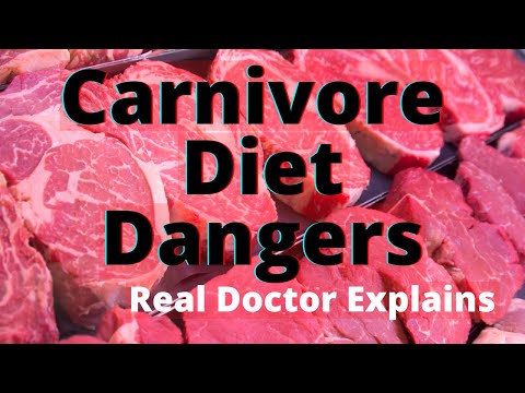 7 Dangers of the Carnivore Diet?? (Doctor Explains) 2022