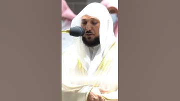 إِنَّ اللَّهَ وَمَلائِكَتَهُ يُصَلُّونَ عَلَى النَّبِيِّ - القارئ ماهر المعيقلي