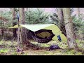 Wild Hammock Camping in a Pine Forest