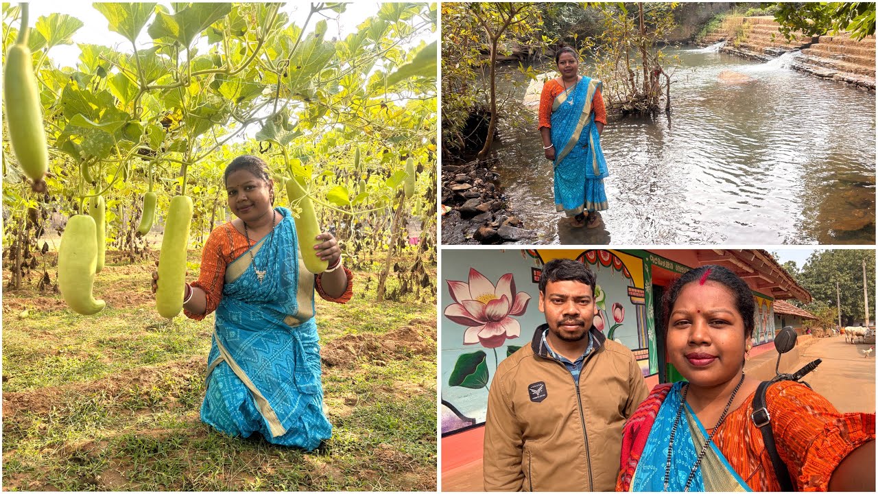 हुड़ू ईर लागीद दिसोम ओड़ा: सेटेर हुय- ऐना😊🌿