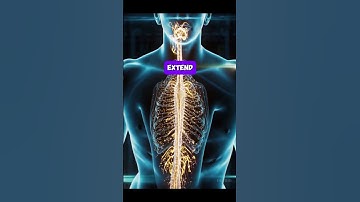 Humans Could Be Immortal by 2030… Thanks to AI