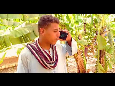 لابيت ابوي ولا ارضه يتباعو للاغراب