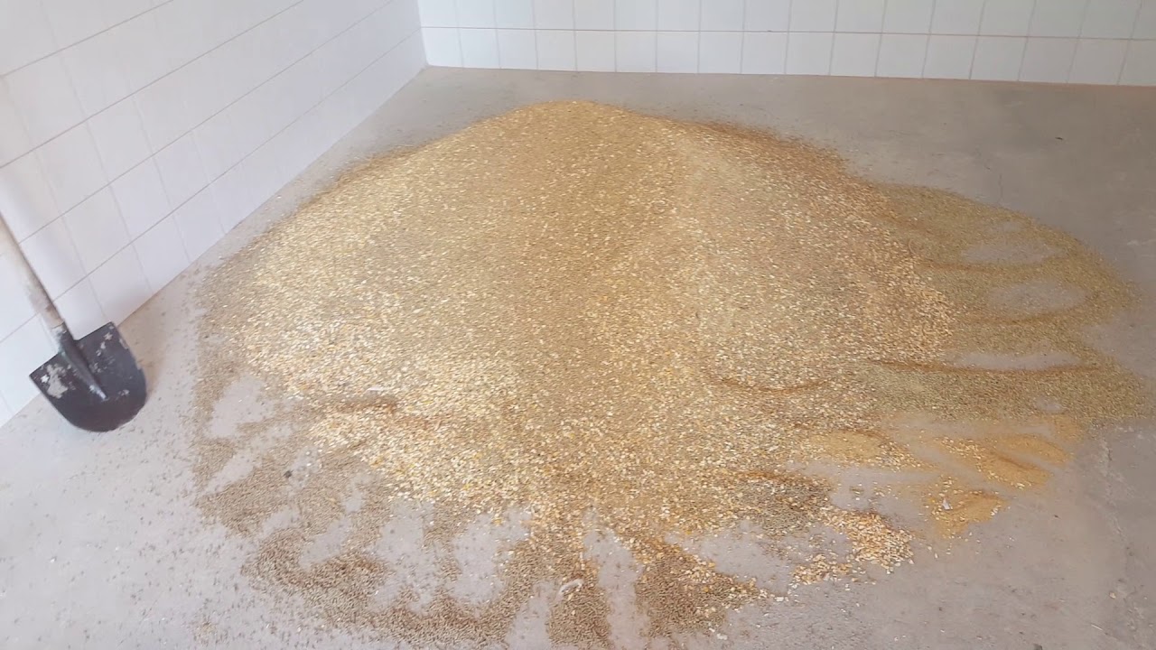 Tavuklarınız yumurtlamıyor sa işte tarif 3