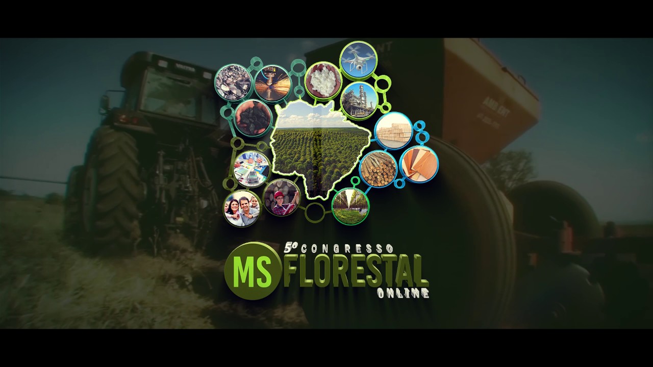 MS Florestal Online - participe