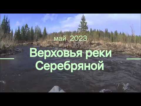 Видео: Верховья реки Серебряной. Часть 2.