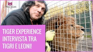 🐯 TIGER EXPERIENCE 🐯 The park of big cats! Interview with Gianni Mattiolo