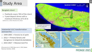 416 Time Series InSAR Using Sentinel 1 Data to Estimate Peatland Subsidence in Bengkalis Island Indo