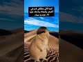 تسلم يا حاج 😂 #اشتراك_بالقناة #اكسبلور #ترند #فولو #لايك #تصميمي #ضحك #كوميديات #اشتراك #دويتو