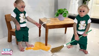 Naughty monkey Lily helps dad clean the house after school