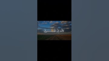 القارئ كامل يوسف البهتيمي _ سورة النمل